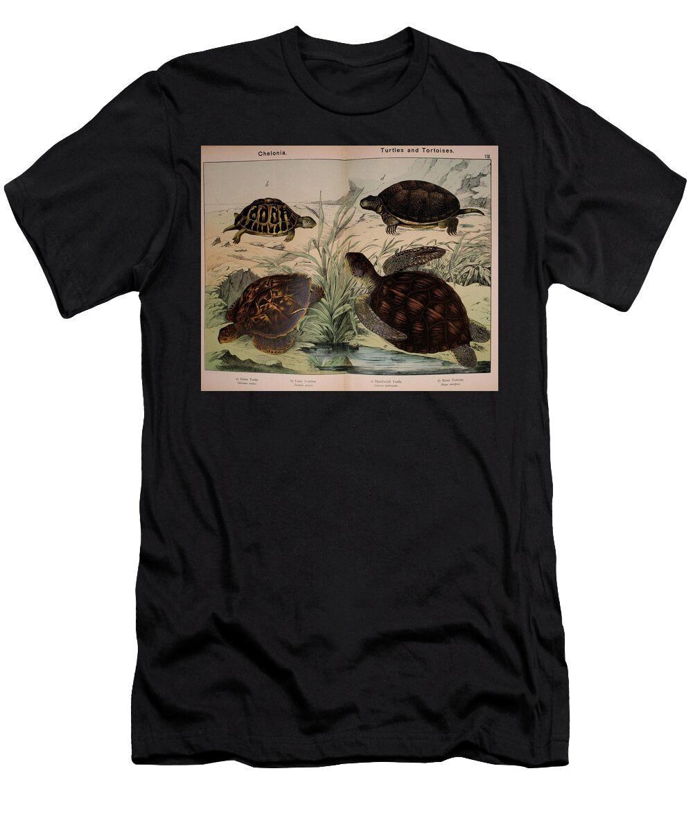 1 Natural History of the Animal Kingdom Motionage Designs T-Shirt