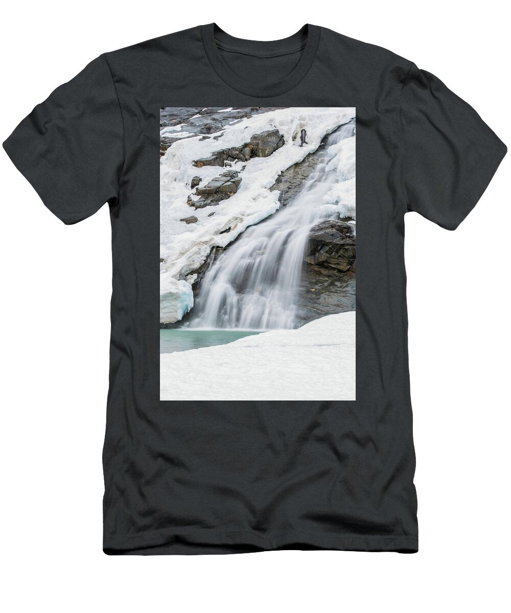 1 Nugget Falls David Kirby T-Shirt