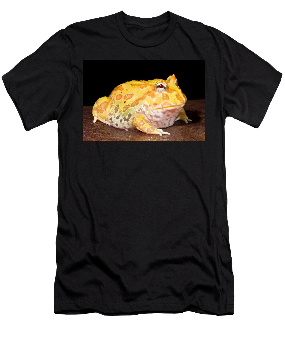 1 Pac Man Frog Ceratophrys David Kenny T-Shirt
