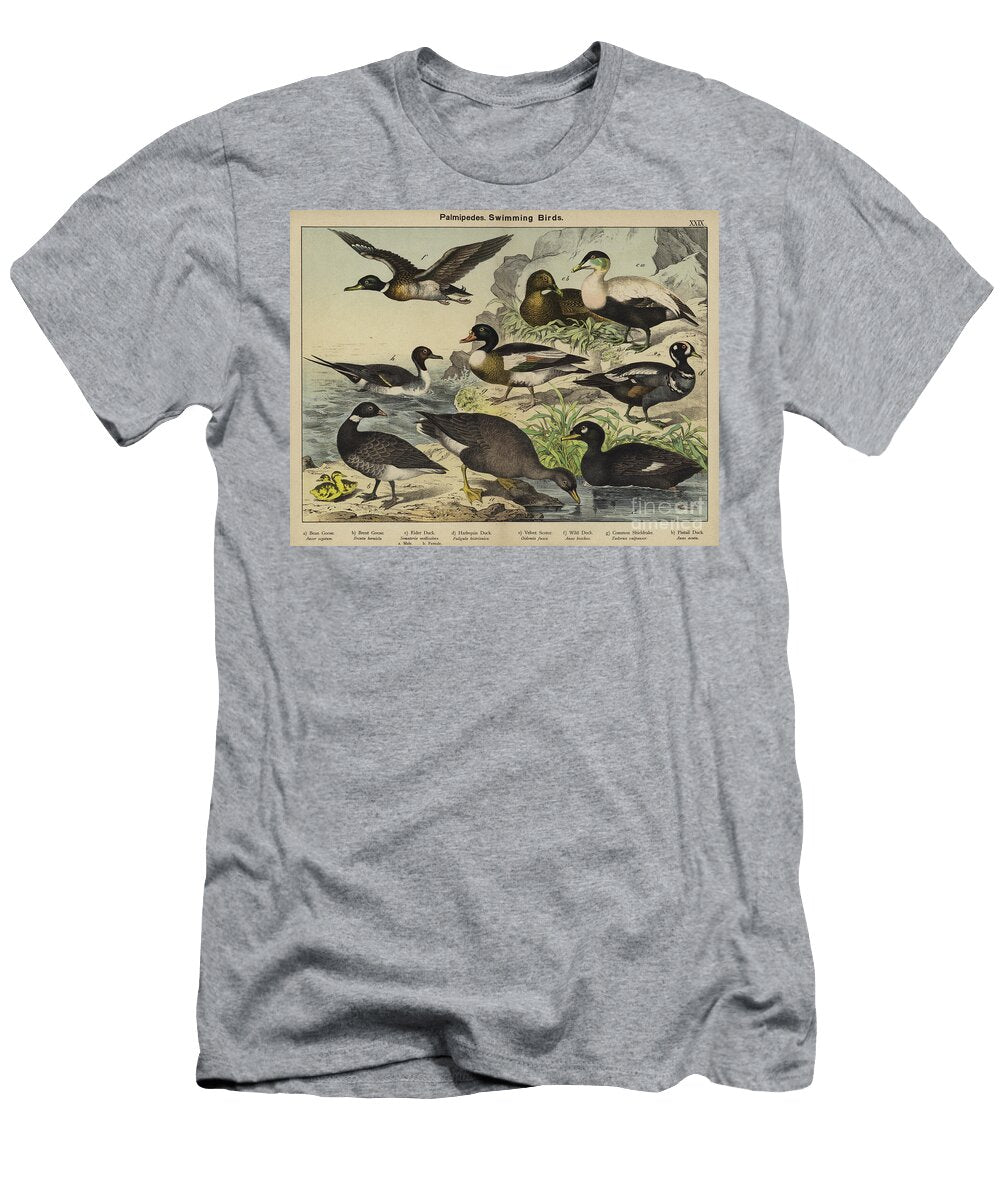 1 Palmipedes Swimming Birds European School T-Shirt