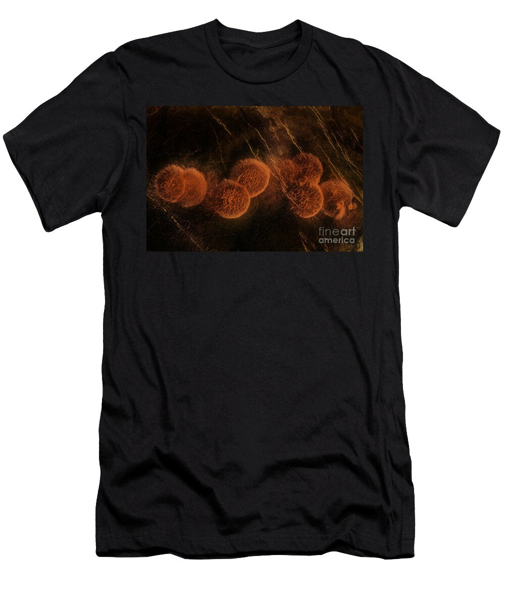 1 Pancake Volcano Domes Science Source T-Shirt