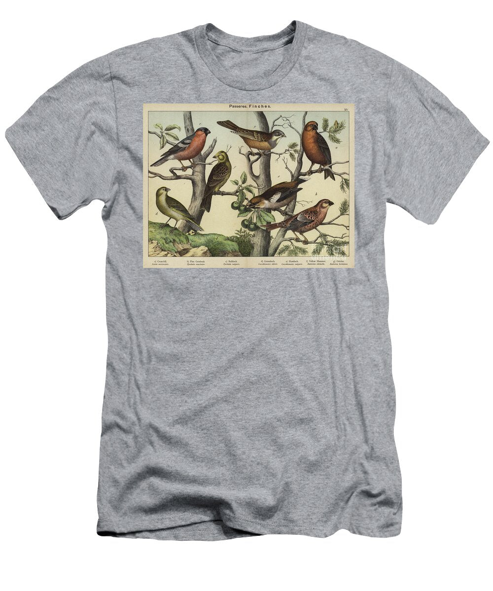 1 Passeres Finches European School T-Shirt