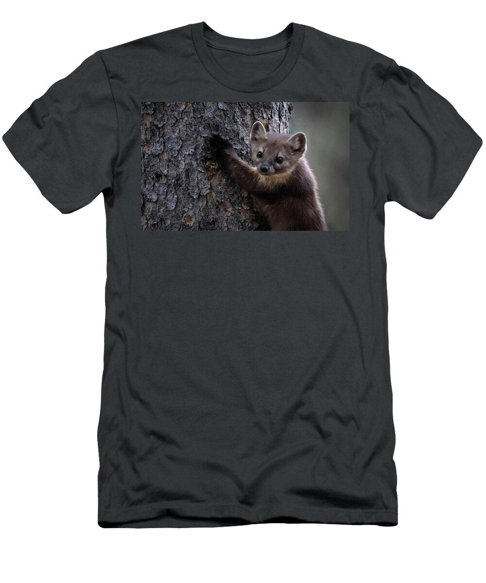 1 Pine Marten Julie Argyle T-Shirt
