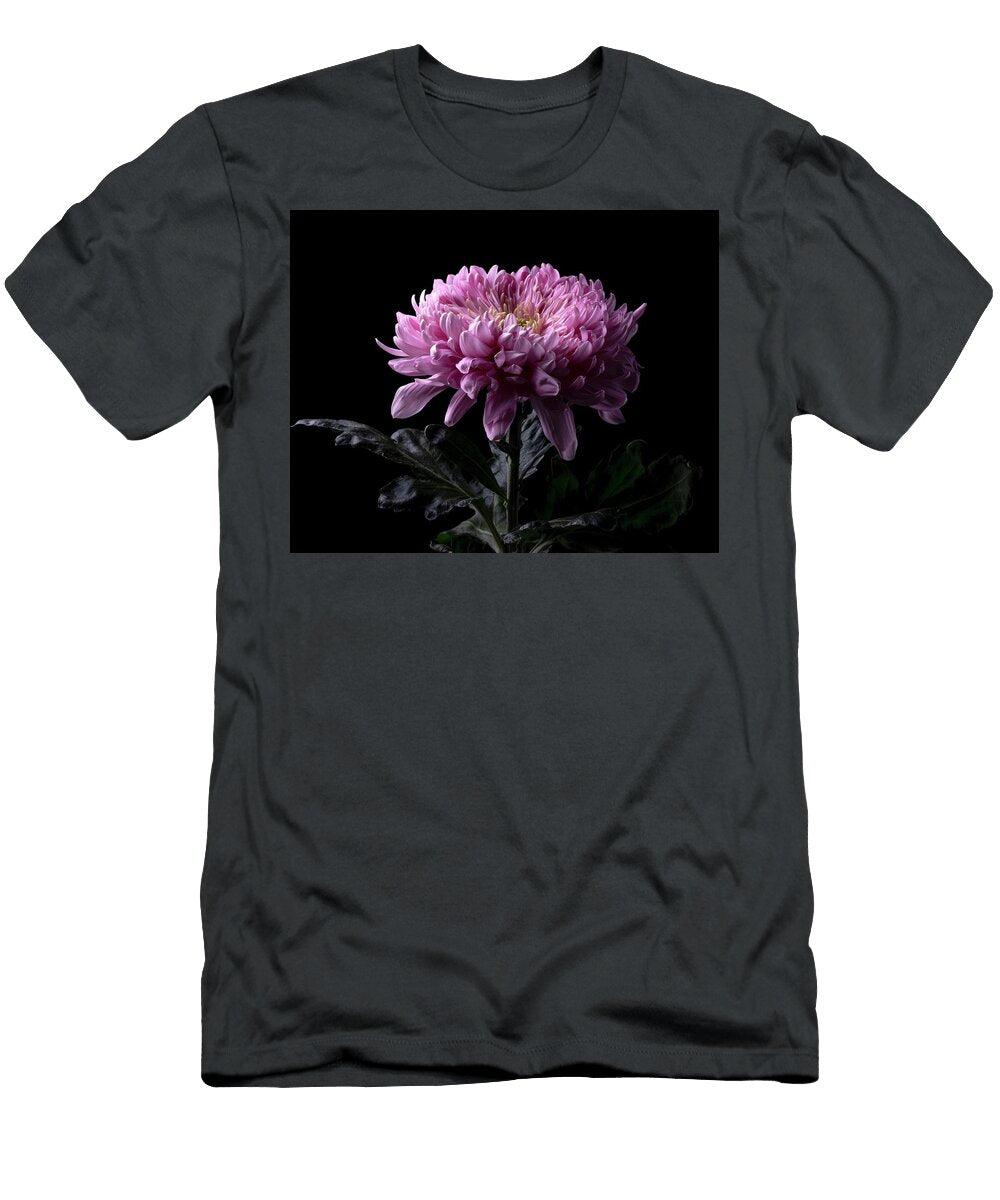 1 Pink Chrysanthemum Flower Portrait Series 1 Part 1 Flower in Full Bloom Nailia Schwarz T-Shirt