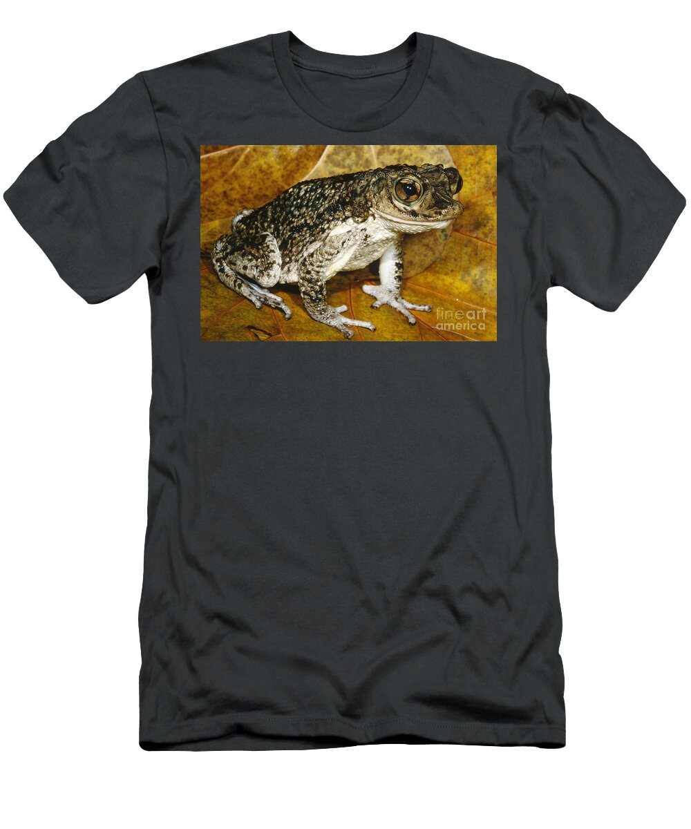 1 Puerto Rican Crested Toad Dante Fenolio T-Shirt