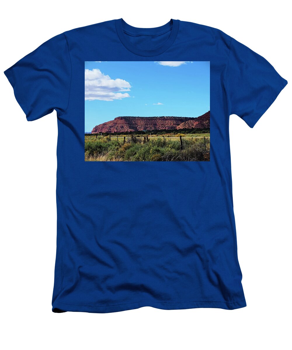 1 Radiator Springs Kanab Ut David White T-Shirt