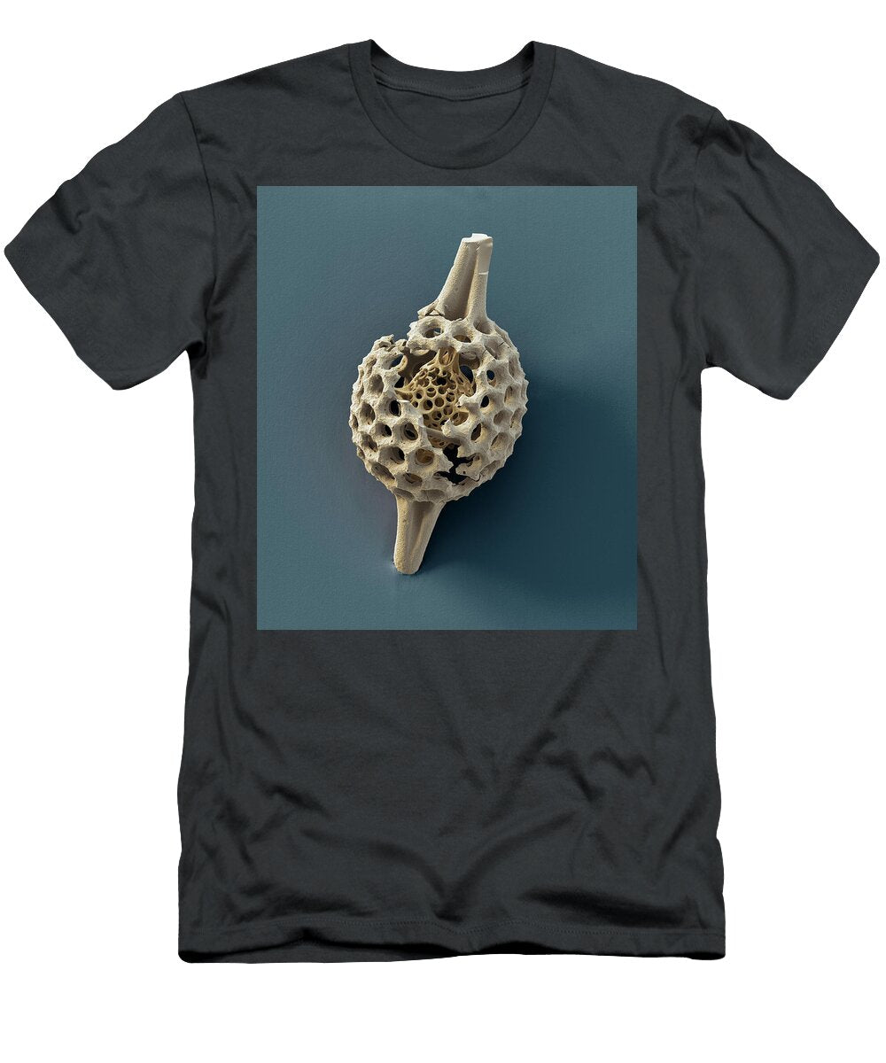 1 Radiolarian Stylosphra Sp Sem Oliver Meckes Eye of Science T-Shirt