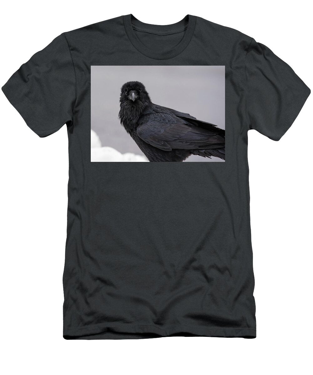 1 Raven David Kirby T-Shirt