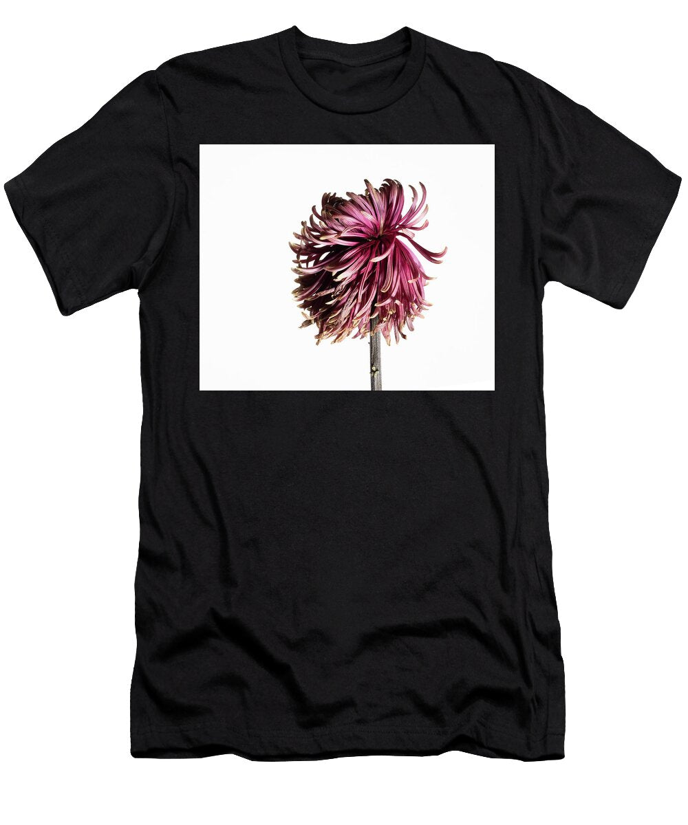 1 Red Chrysanthemum Flower Series 2 Part 2 Image 05 Nailia Schwarz T-Shirt