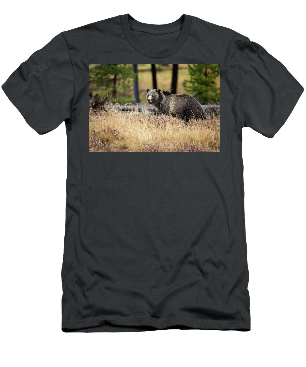 1 Snow Bear Julie Argyle T-Shirt