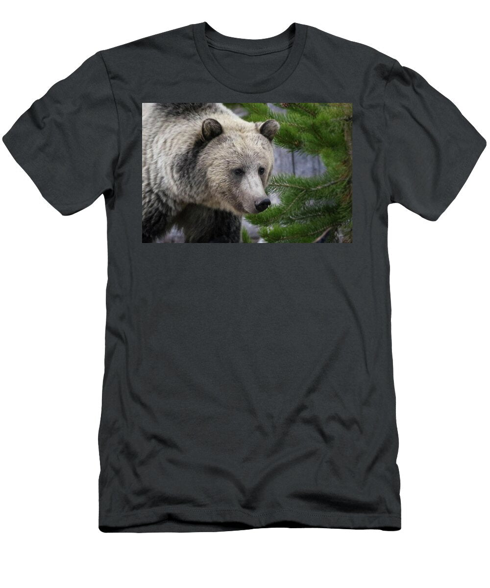 1 Snow Julie Argyle T-Shirt