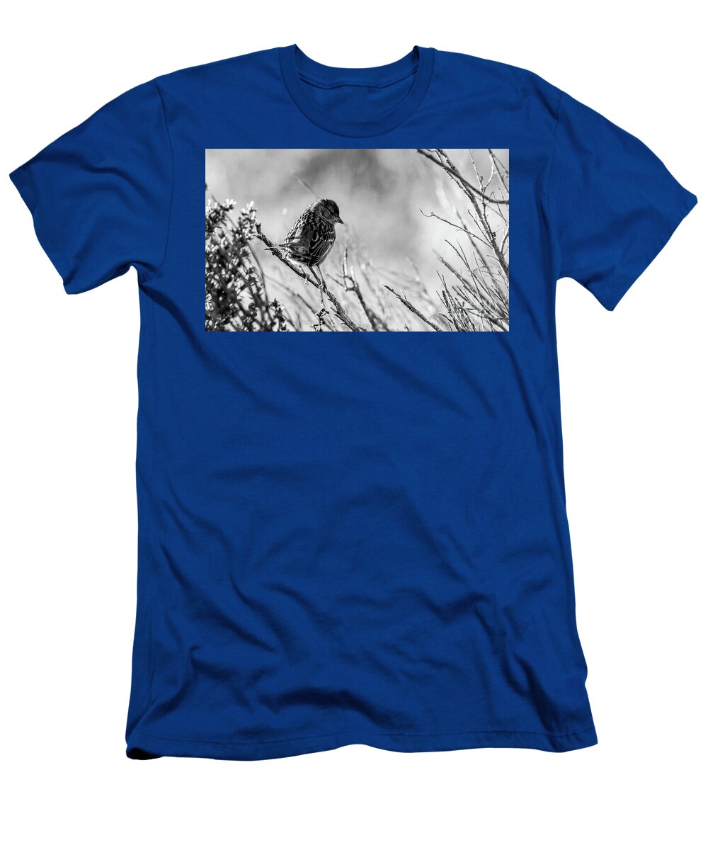 1 Sparrow Glance Adam Morsa T-Shirt