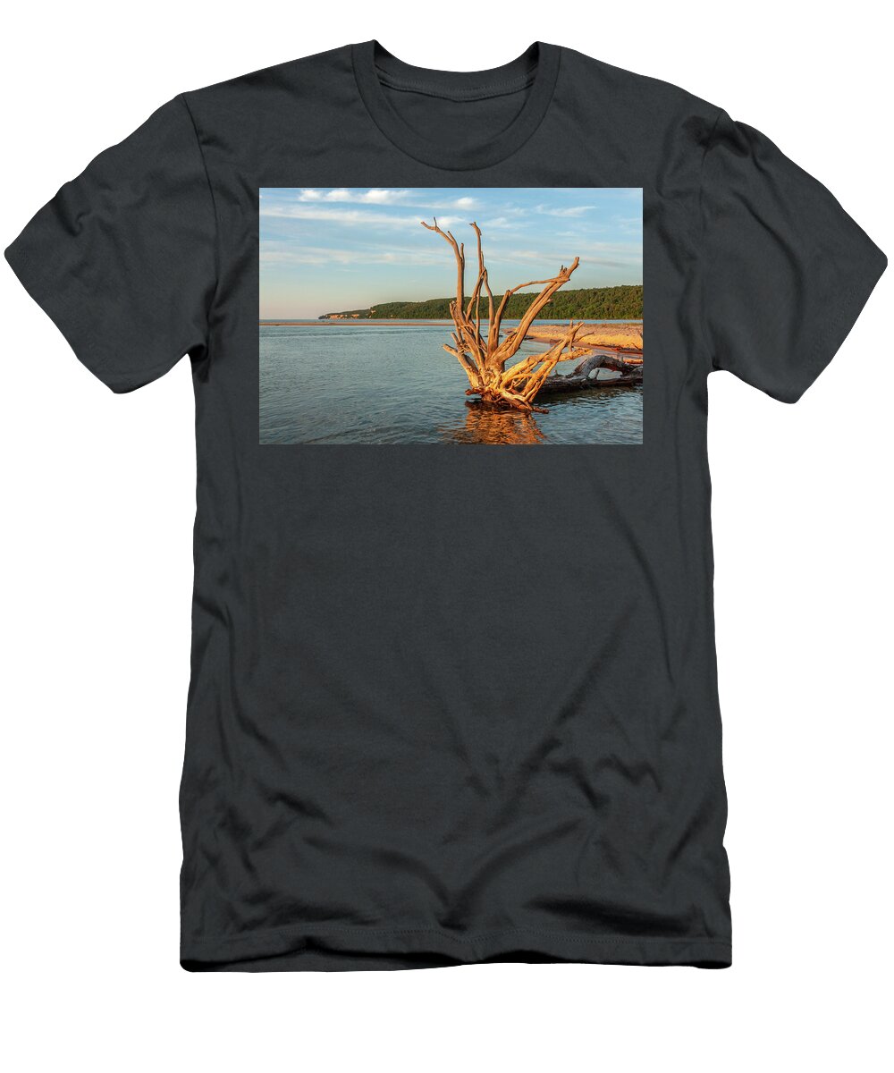 1 the Stump At Sand Point Tim Trombley T-Shirt