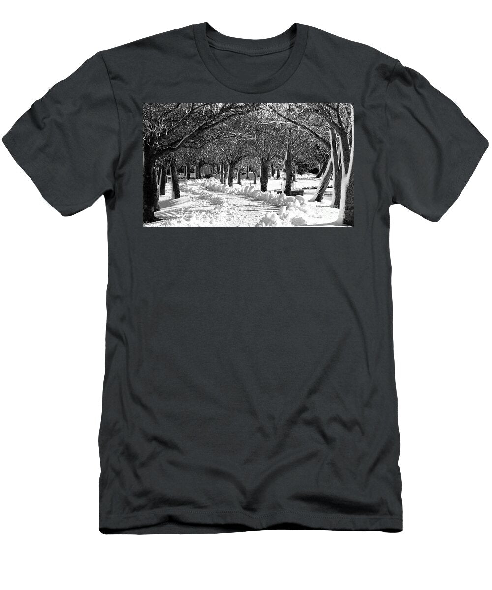 1 Trees Glistning From Sunshine After Snowfall At Argyle Lake in B David Wood T-Shirt