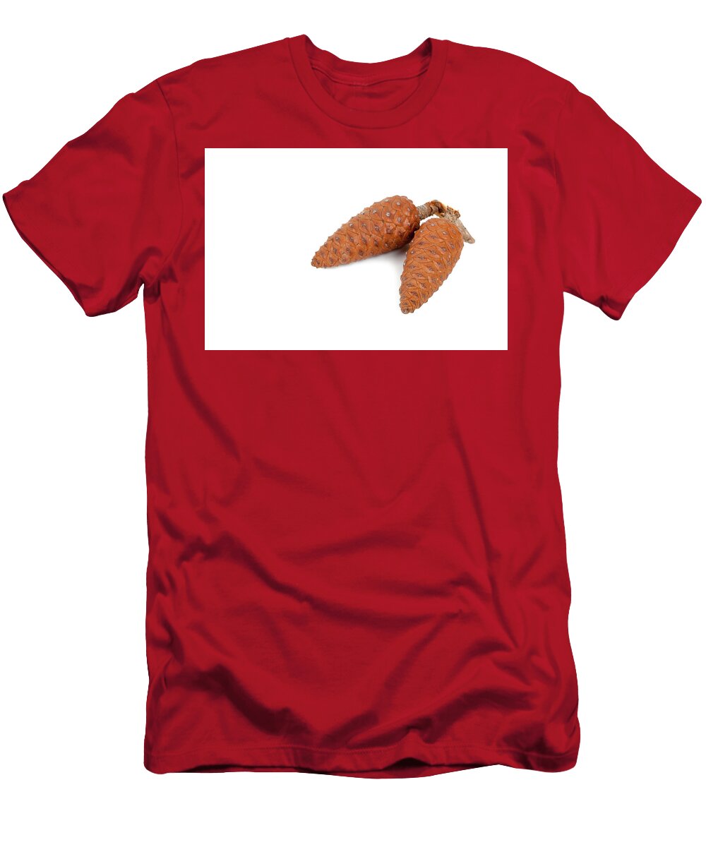 1 Two Pine Cones Liss Art Studio T-Shirt