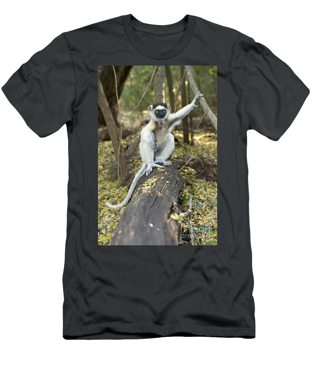1 Verreauxs Sifaka Tony Camacho T-Shirt