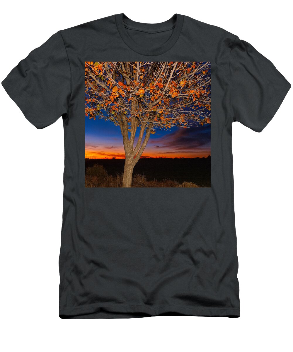 1 Vibrant Tree At Sunset Mario G Rivera T-Shirt