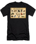 1 Wildlife of Madagascar Poster Vintage Animal Poster Lemur Chameleon Chart Amanda Hyde T-Shirt
