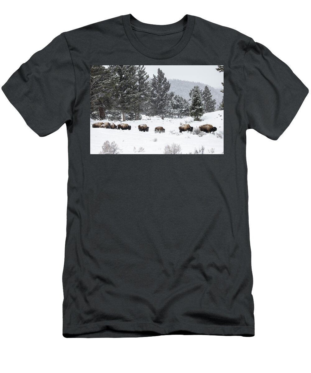1 Winter Bison Julie Argyle T-Shirt