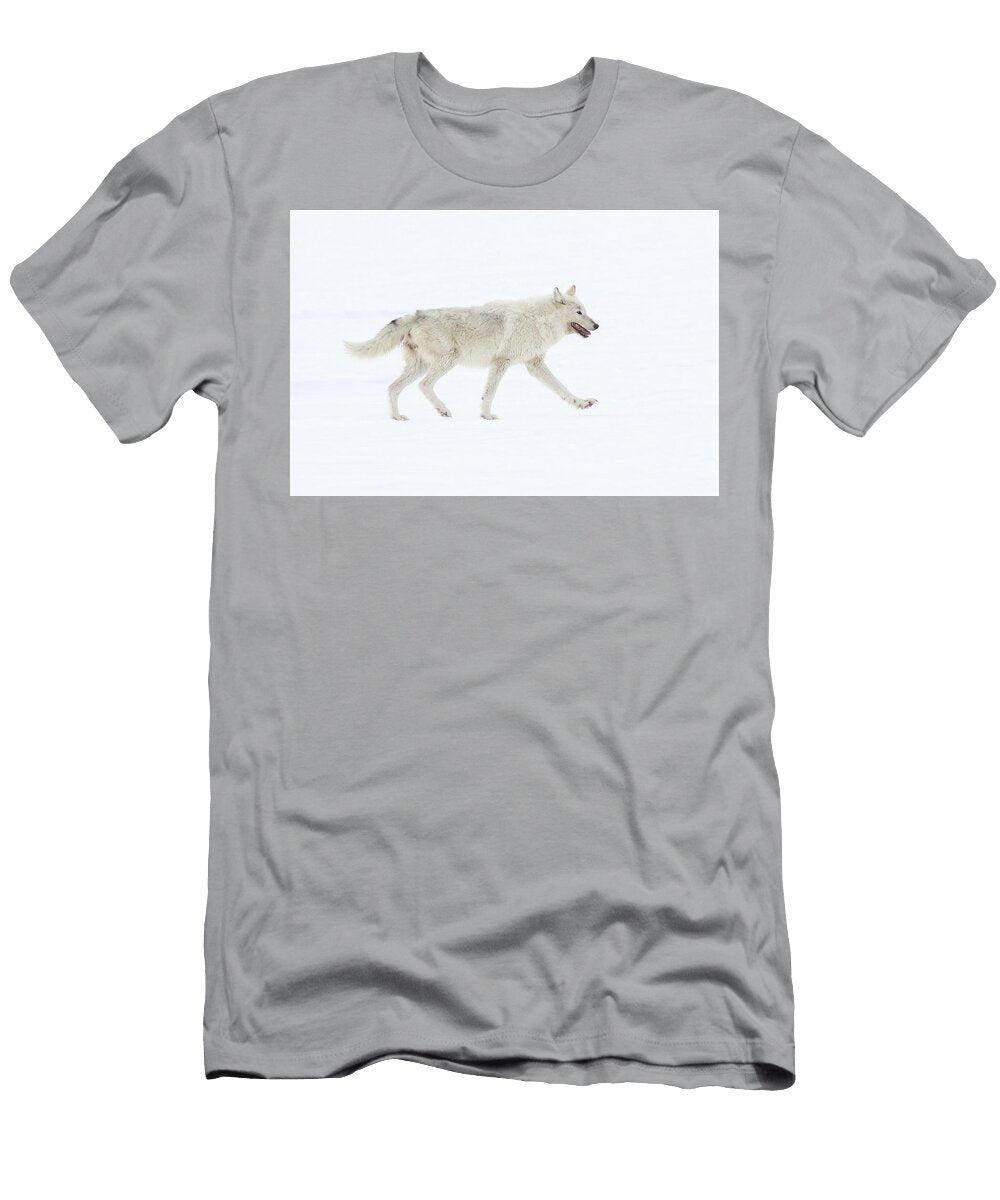 1 Winter Wolf Julie Argyle T-Shirt