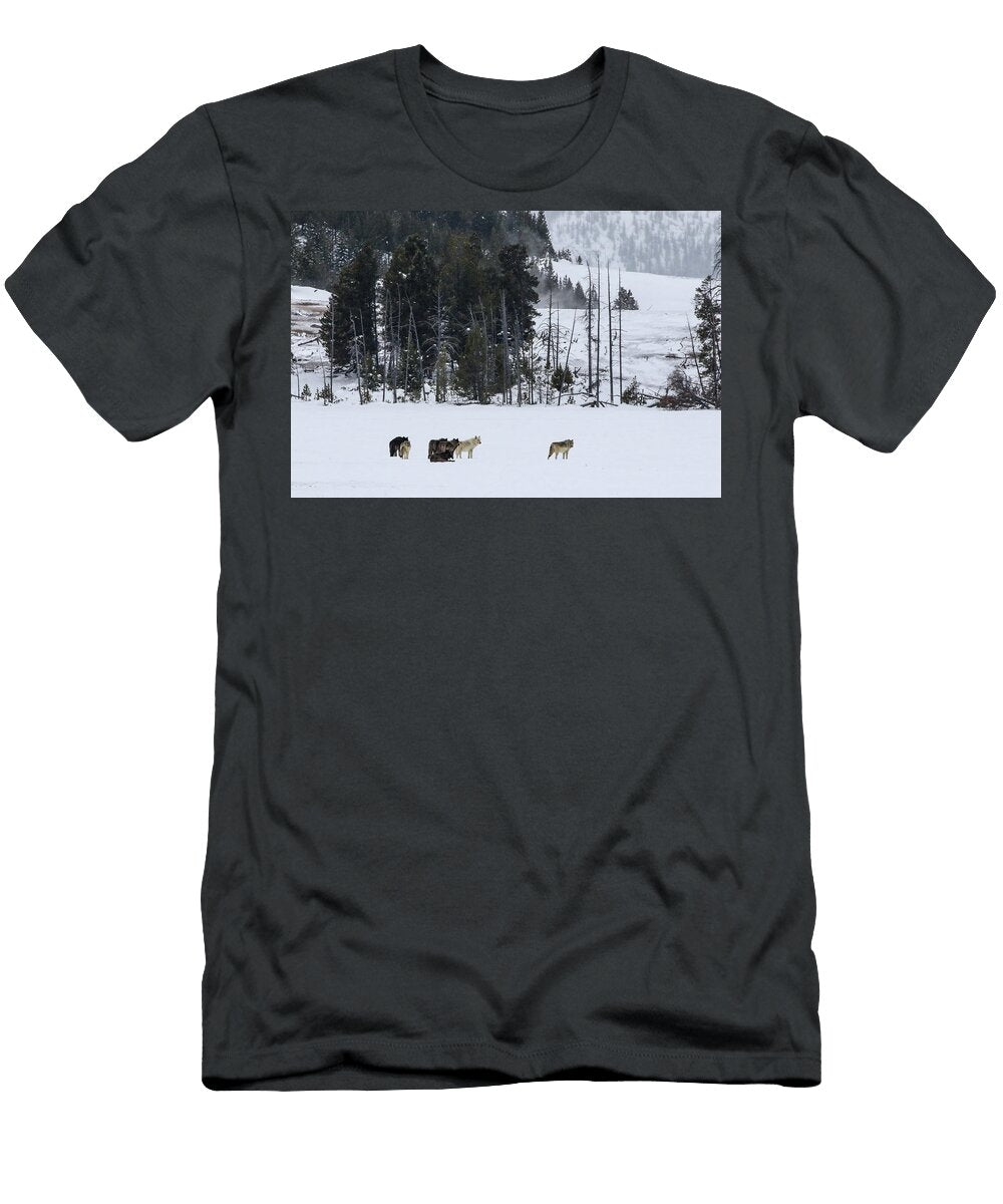 1 Winter Wolves Julie Argyle T-Shirt