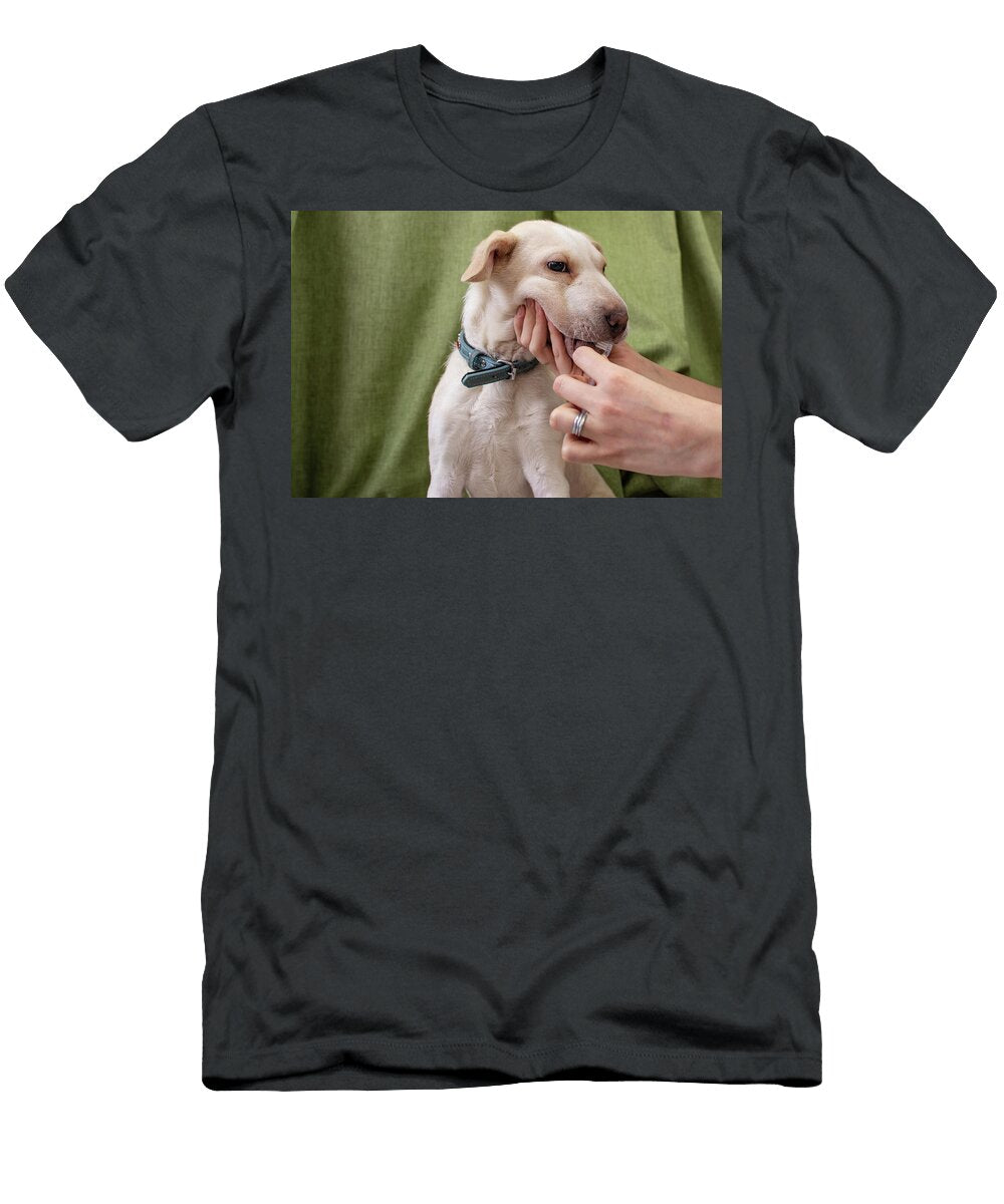 1 Woman Hands Brushing a Dogs Teeth on Green Curtain Background Dorin Puha T-Shirt