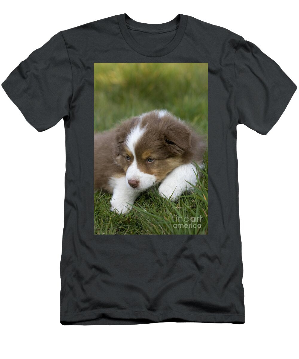 11 Australian Shepherd Puppy Jean Louis Klein Marie Luce Hubert T-Shirt