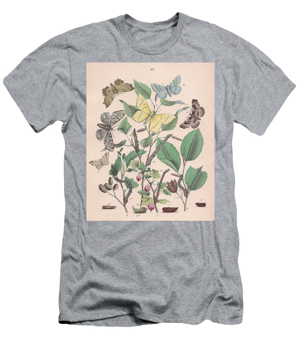 12 European Butterflies Ans Moths W F Kirby T-Shirt