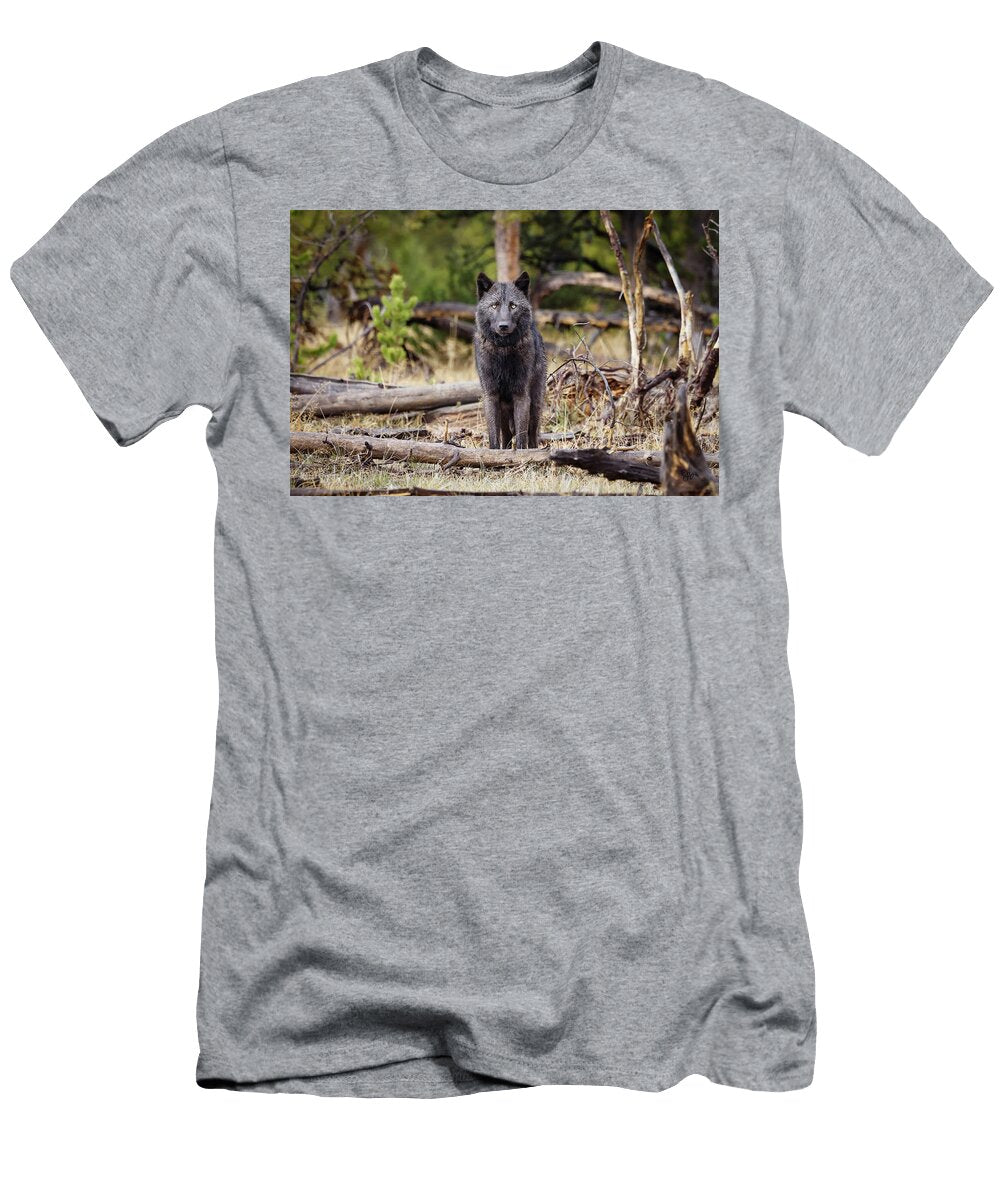 1234m Julie Argyle T-Shirt