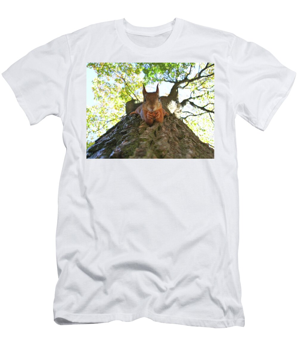 1269 Nature Les Classics T-Shirt
