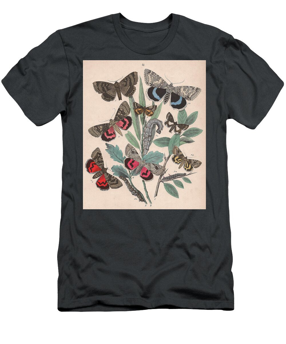 14 European Butterflies Ans Moths W F Kirby T-Shirt