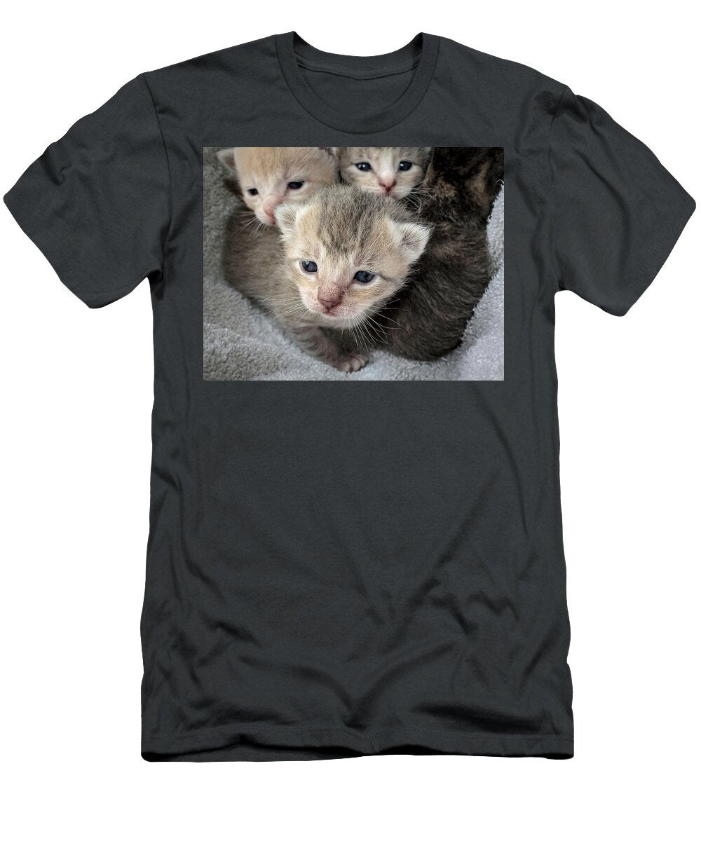 169 Kittens Photography By John Lee T-Shirt