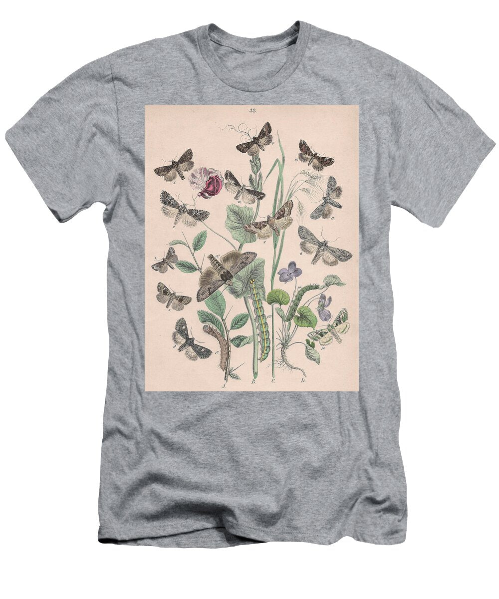 17 European Butterflies Ans Moths W F Kirby T-Shirt