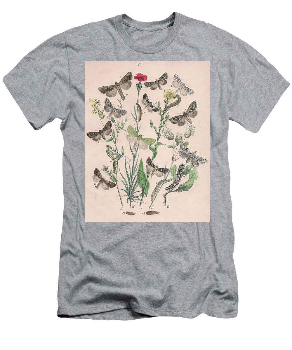 18 European Butterflies Ans Moths W F Kirby T-Shirt