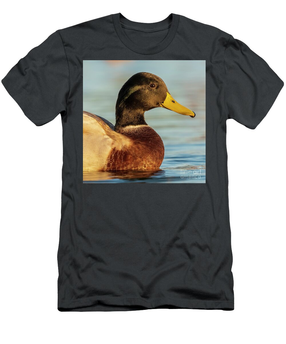 19 Mallard Anas Platyrhynchos Costa Ballena Cadiz Pablo Avanzini T-Shirt