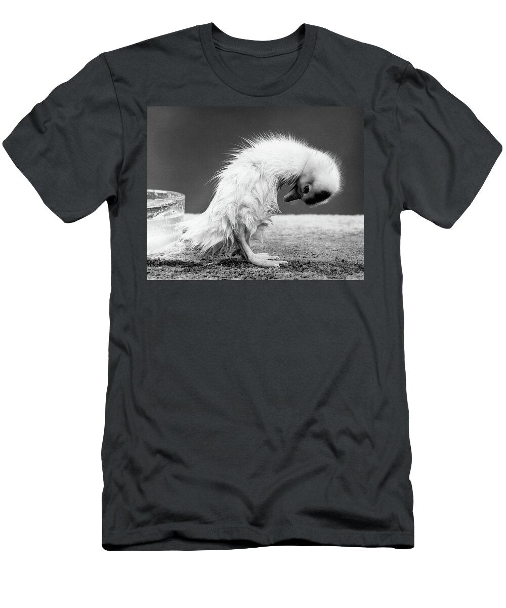1950s Duckling Standing in an Awkward Animal Images T-Shirt