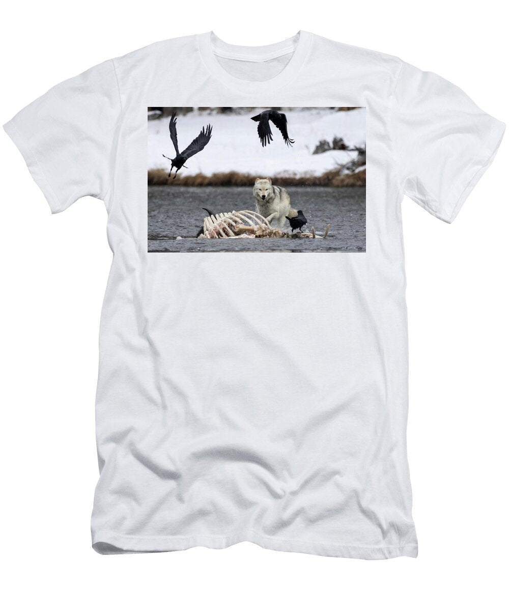 2 Alpha Julie Argyle T-Shirt