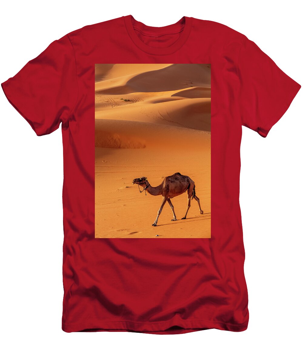2 Arabian Dromedary Camel Domesticated Erg Chebbi Dunes Claudio Contreras Natureplcom T-Shirt