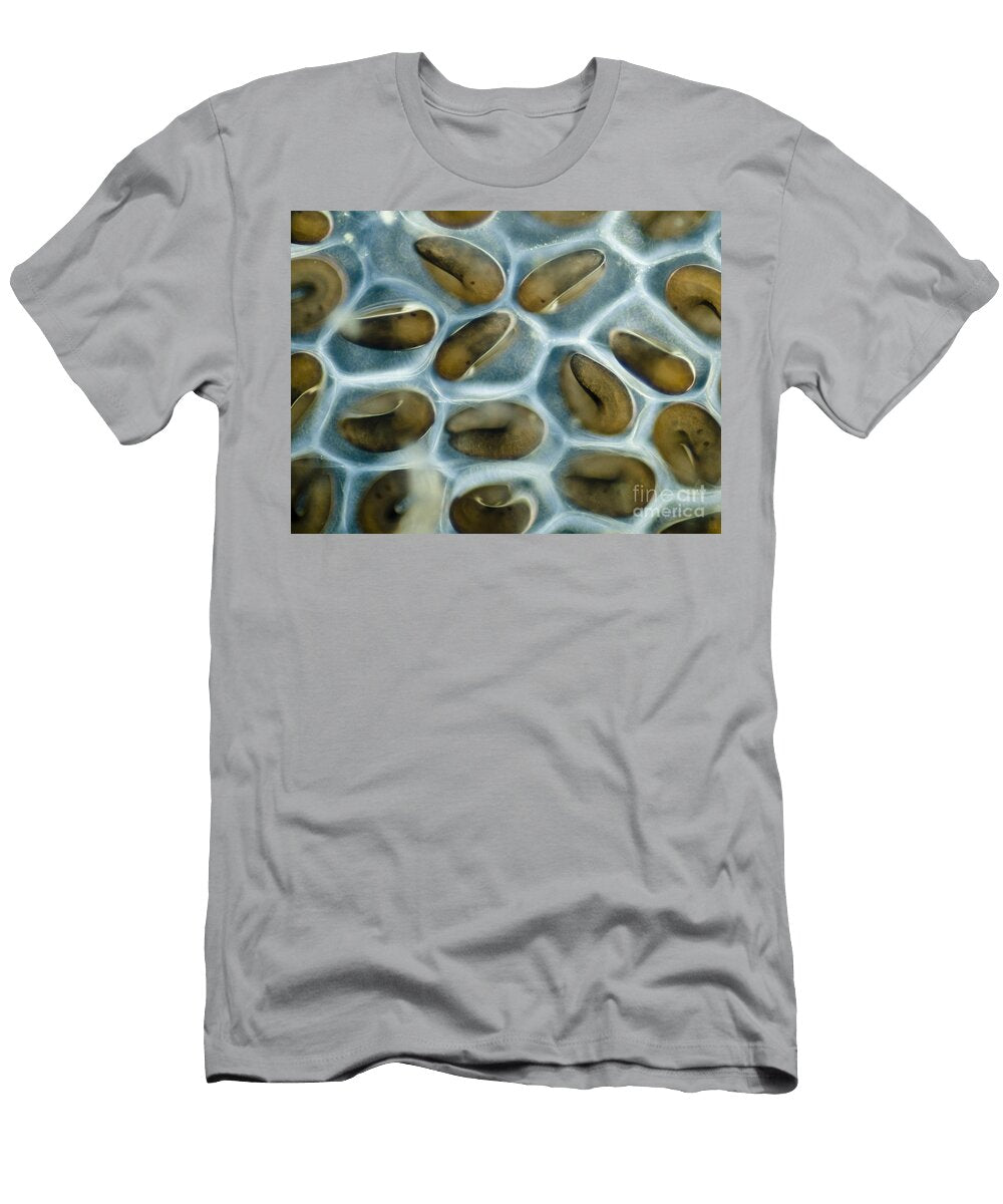 2 Biting Midge Eggs Ceratopogonidae Sp Rubn Durobiomedia Associates Llc T-Shirt
