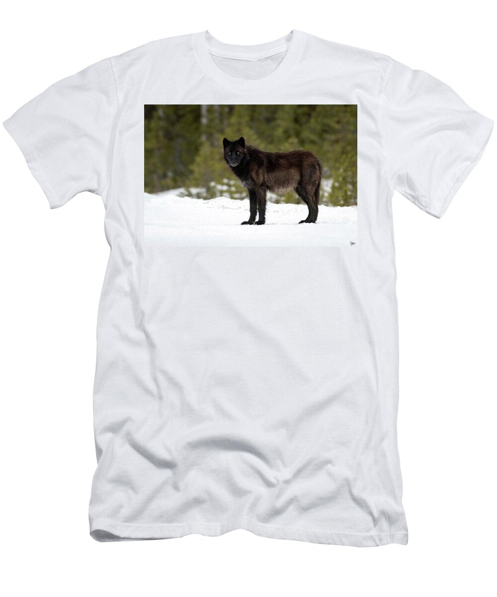2 Black Wolf Julie Argyle T-Shirt