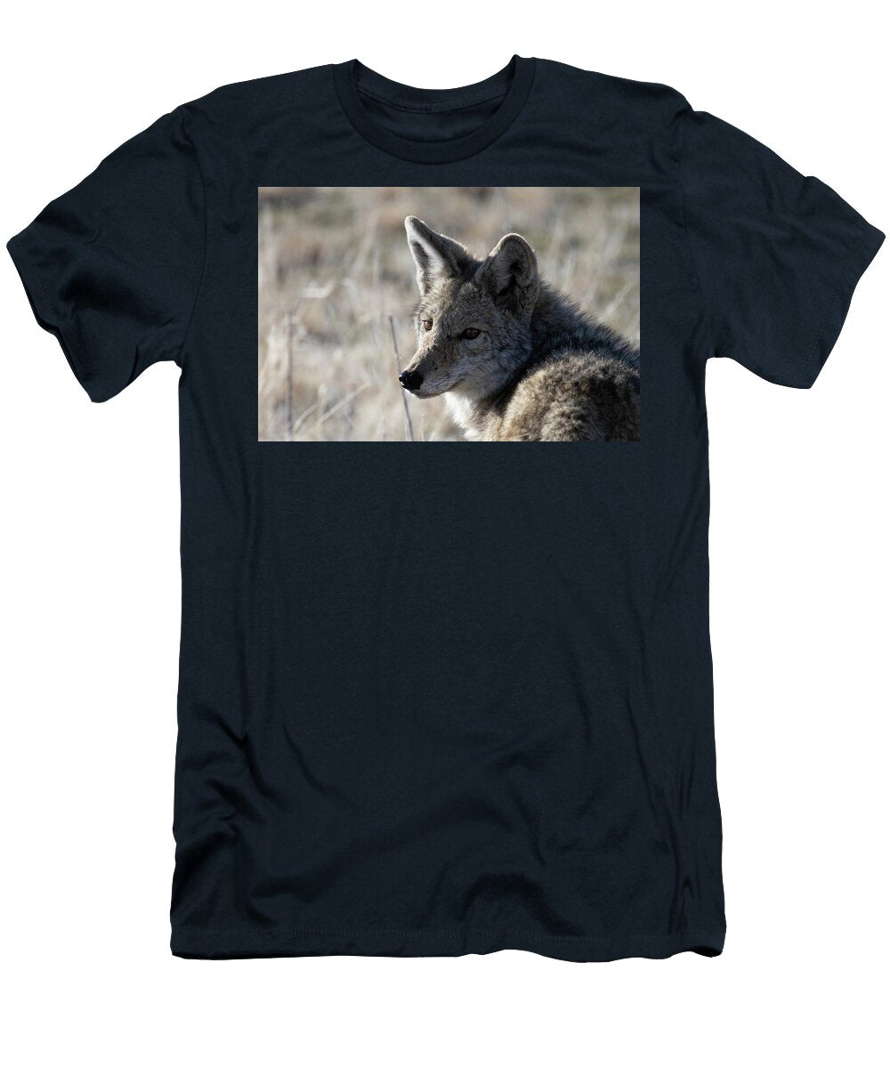 2 Coyote Julie Argyle T-Shirt