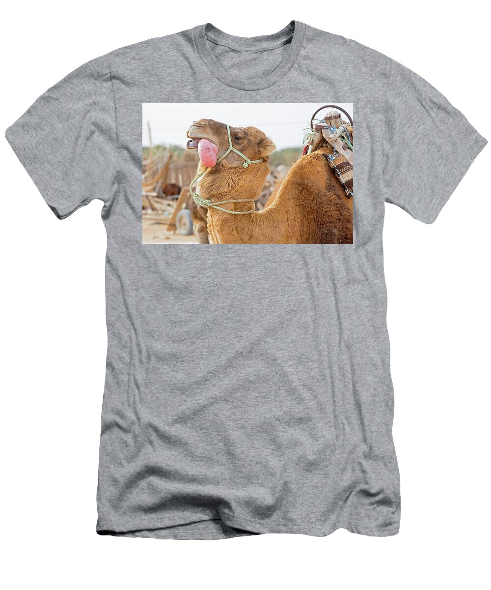 2 Dromedary Camel Male Mating Display with Inflated Palate Louis Marie Preau Natureplcom T-Shirt