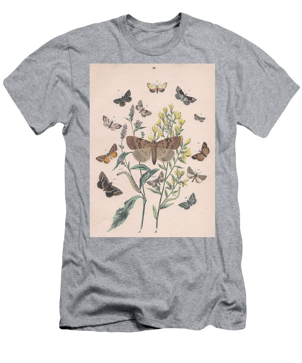 2 European Butterflies and Moths W F Kirby T-Shirt