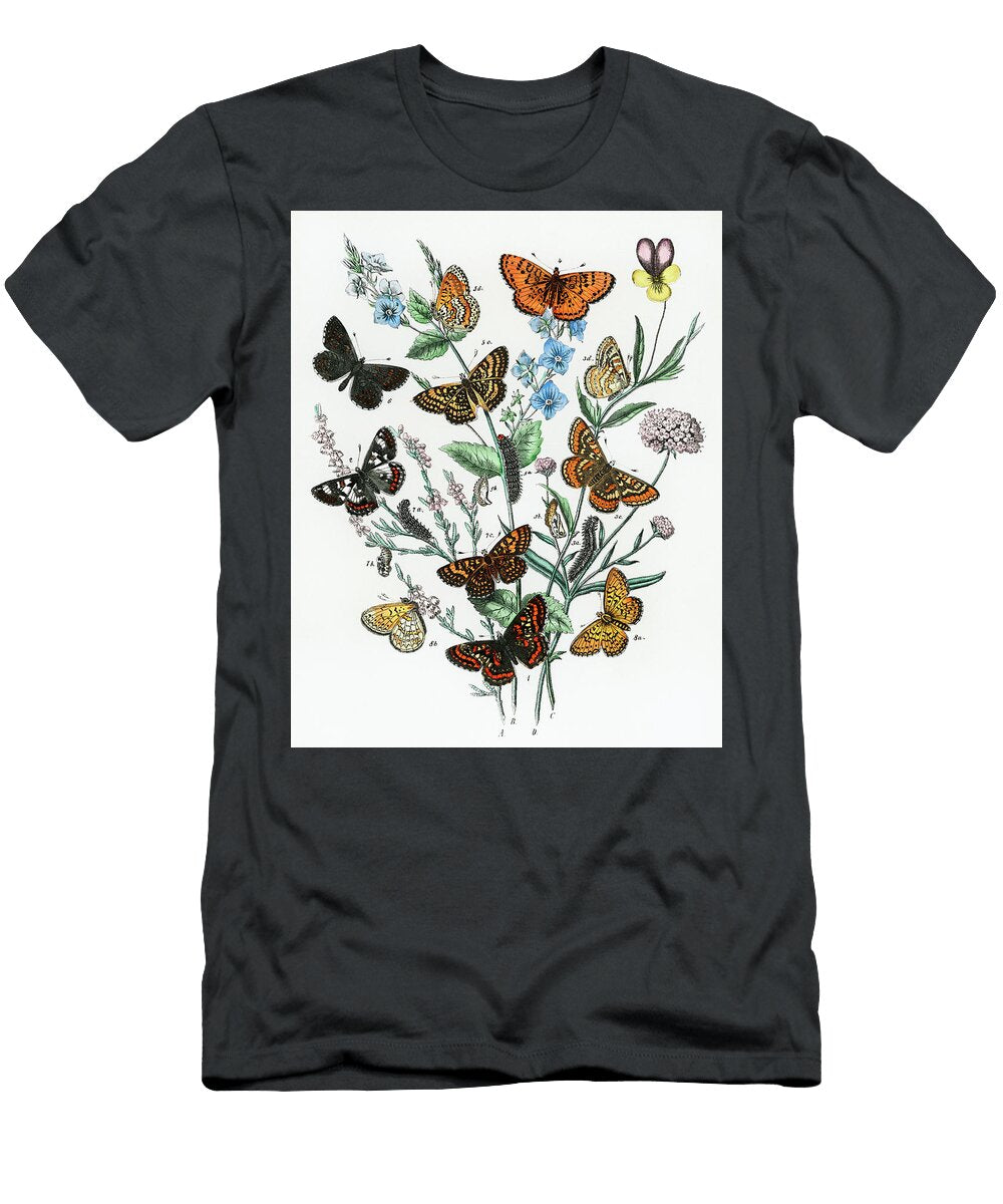 2 European Butterflies and Moths William Forsell Kirby T-Shirt