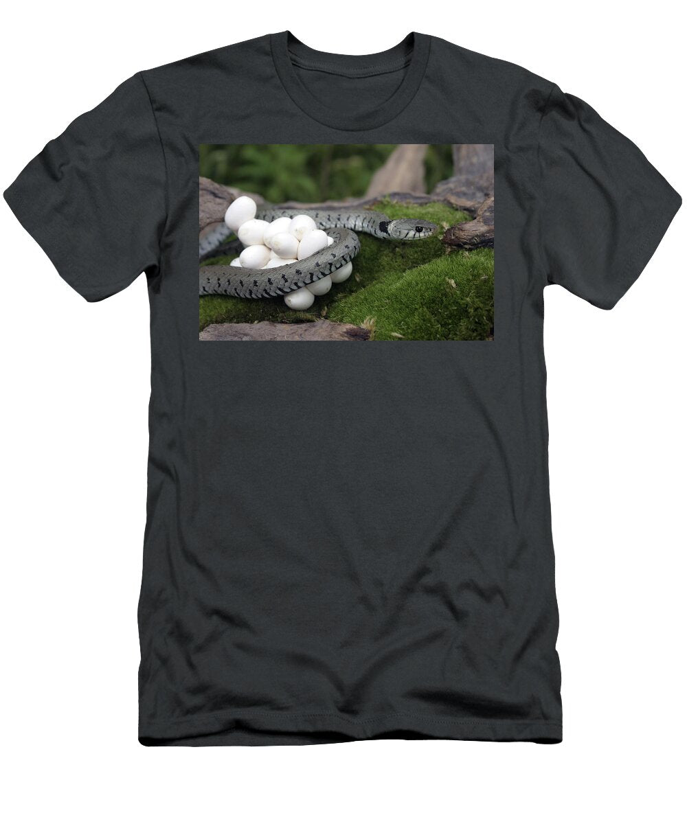 2 Grass Snake with Eggs M Watson T-Shirt