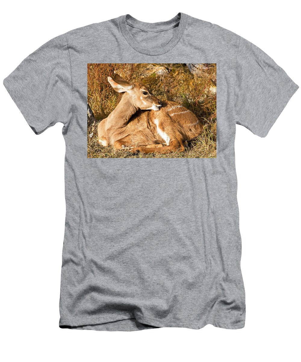 2 Greater Kudu Calf Millard H Sharp T-Shirt