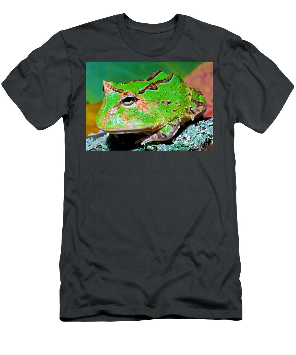 2 Green Fantasy Frogpacman Frog Millard H Sharp T-Shirt