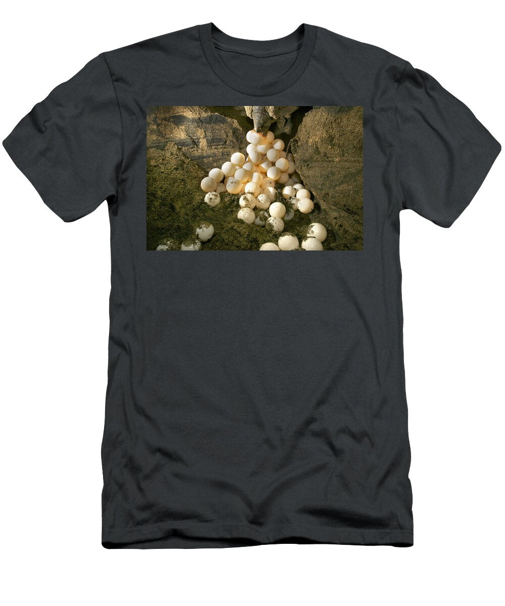 2 Green Turtle Laying Eggs M Watson T-Shirt