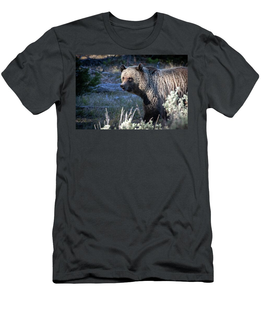 2 Grizzly Julie Argyle T-Shirt
