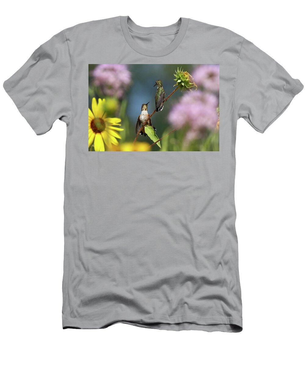 2 Hummingbirds in Wildflowers Ii Julie Argyle T-Shirt